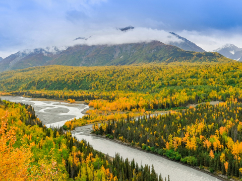 Luxury Cruise Alaska